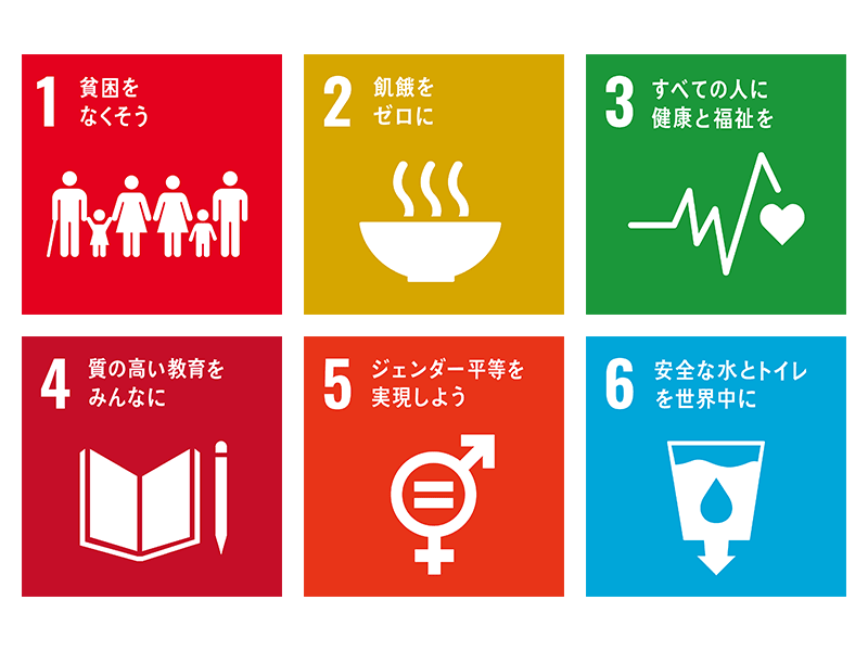 SDGs目標1～6：発展途上国を中心とした課題