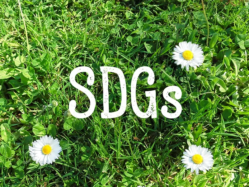 エコフレンドリー